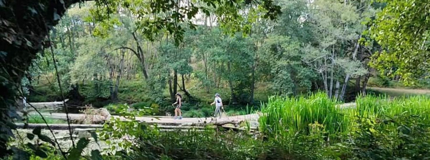 Molino de Paz en Moscán