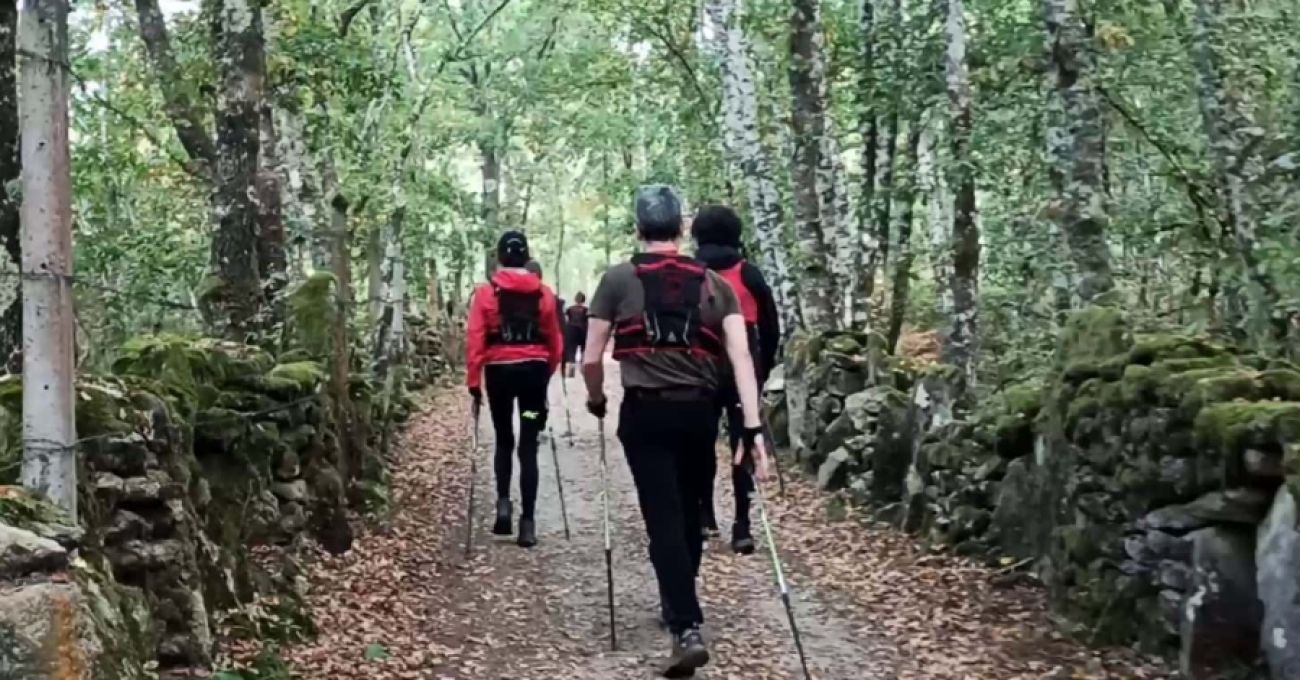 Belleza alterada Belleza alterada