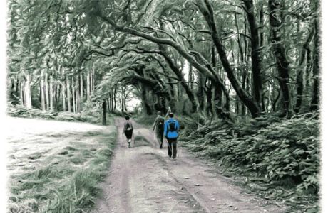 Nordic Walking es tendencia. Nordic Walking es tendencia.