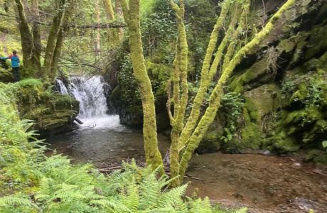 Quintá de Cancelada Quintá de Cancelada