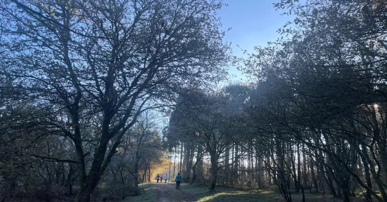 Camino Real por Friol Camino Real por Friol