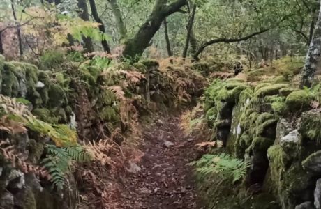 Verde que te quiero verde Verde que te quiero verde