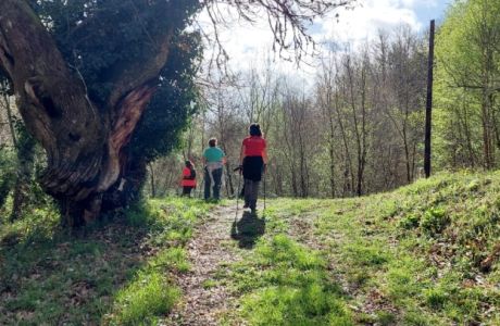 De nuevo por el Donsal De nuevo por el Donsal