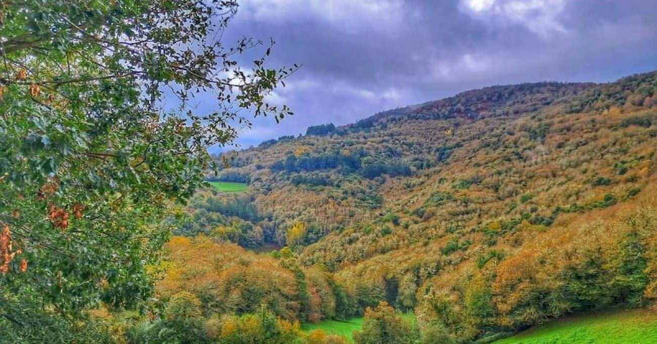 Os grobos, ruta  por el Souto da Agüeira Os grobos, ruta  por el Souto da Agüeira