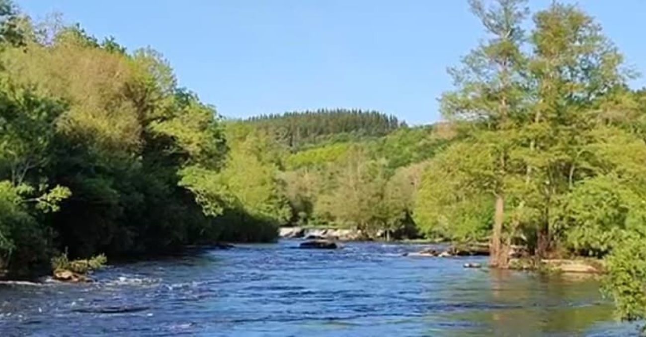 A Fervenza A Fervenza