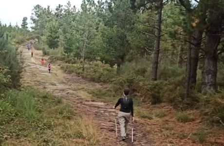 Nuestros 3 niveles de entrenamiento Nuestros 3 niveles de entrenamiento