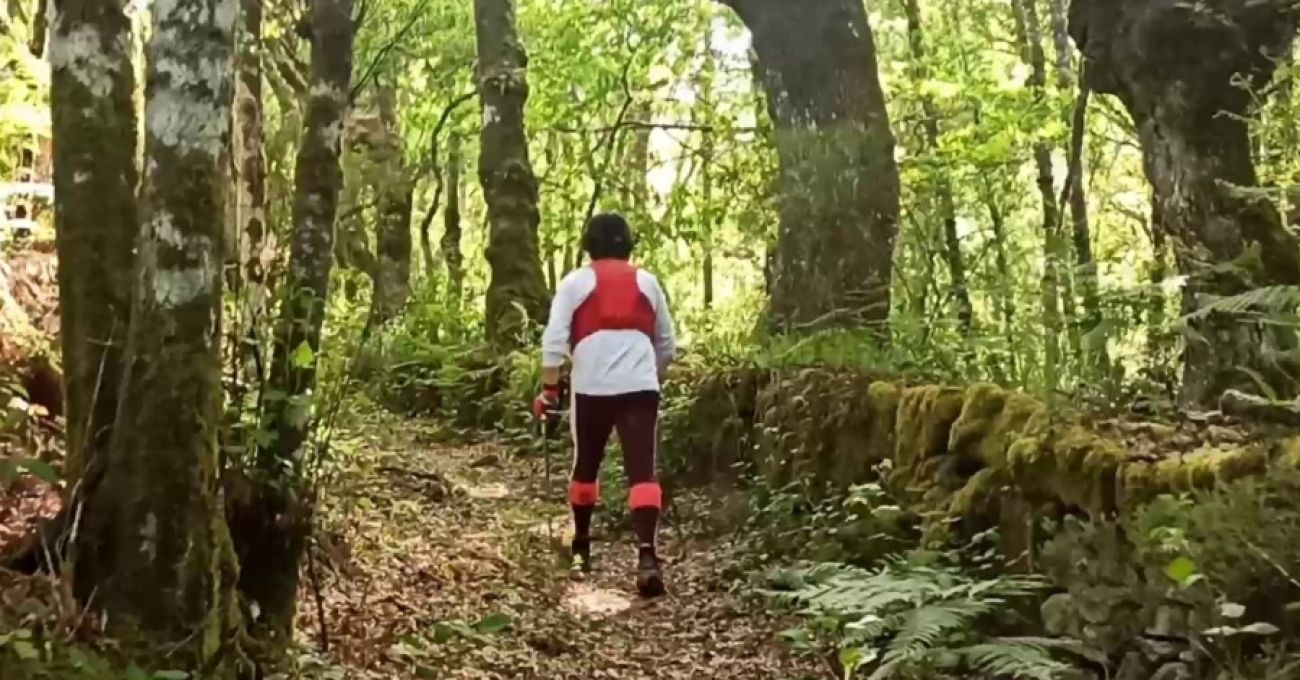 Irregularidad manifiesta Irregularidad manifiesta