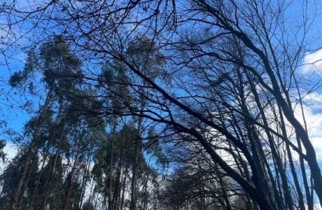 Reserva Biosfera, río Azumara Reserva Biosfera, río Azumara