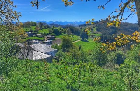 Primavera en el río Donsal. Primavera en el río Donsal.