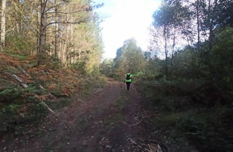 El Nordic en grupo es saludable y bello. El Nordic en grupo es saludable y bello.