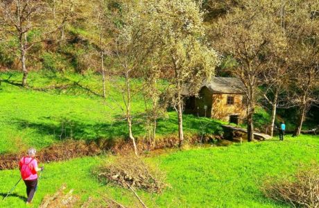 Ruta Río Donsal Ruta Río Donsal