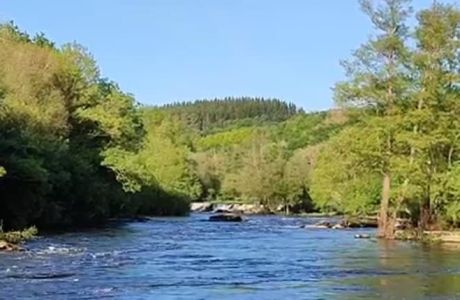 A Fervenza A Fervenza