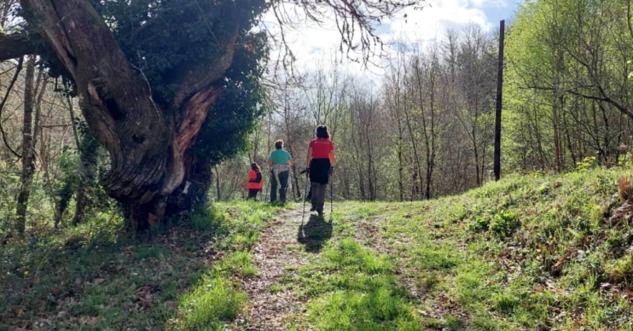 De nuevo por el Donsal De nuevo por el Donsal