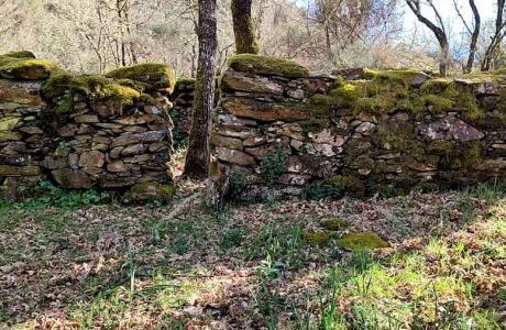 Ouriceiro en el Río Donsal Ouriceiro en el Río Donsal