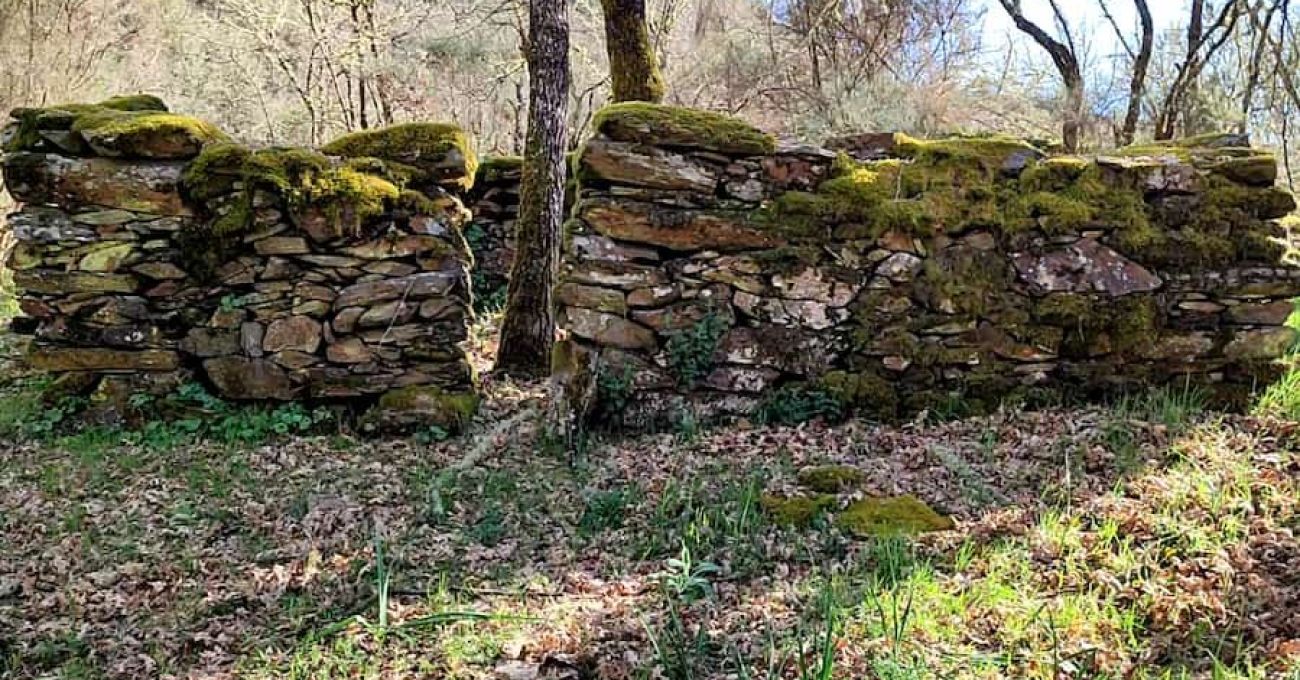 Ouriceiro en el Río Donsal Ouriceiro en el Río Donsal
