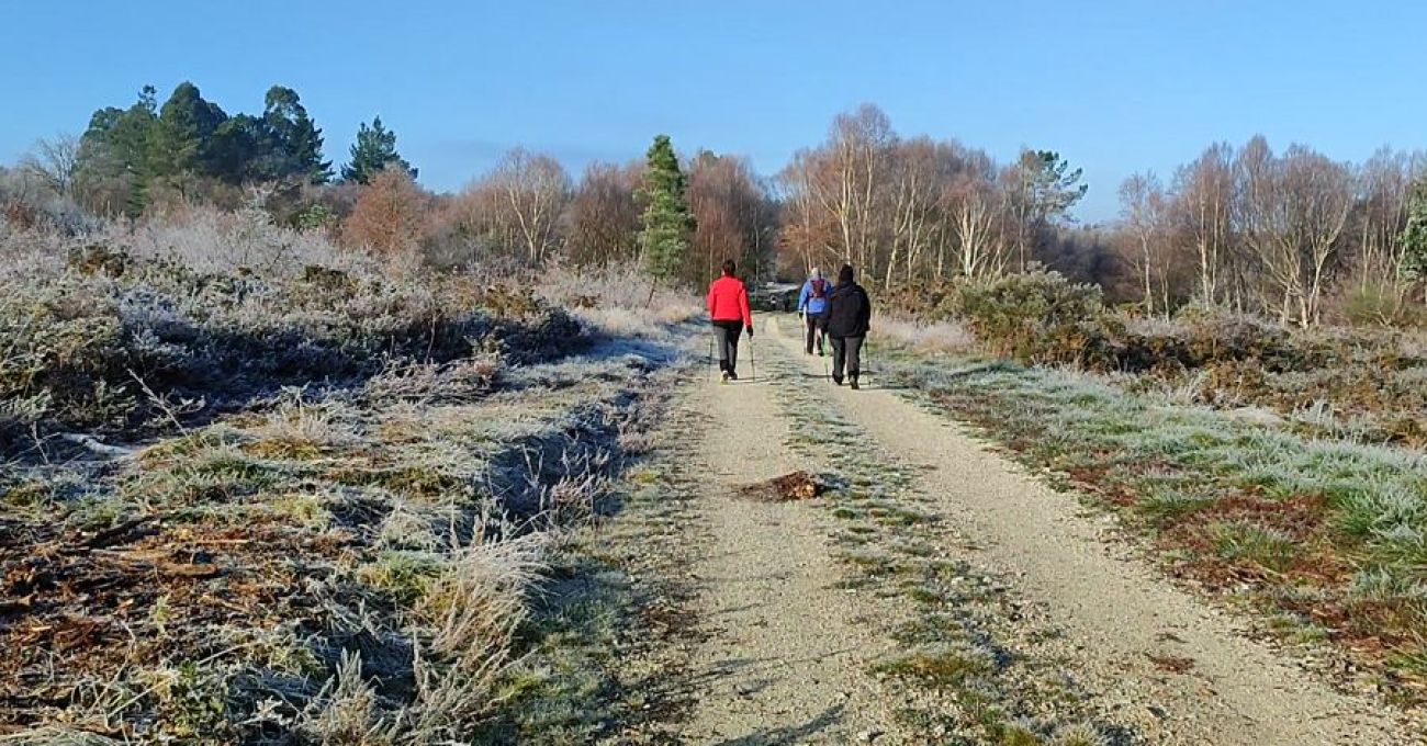 Invierno en el Camino Real Invierno en el Camino Real