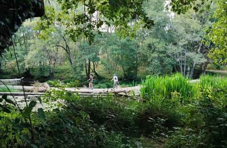 Molino de Paz en Moscán Molino de Paz en Moscán