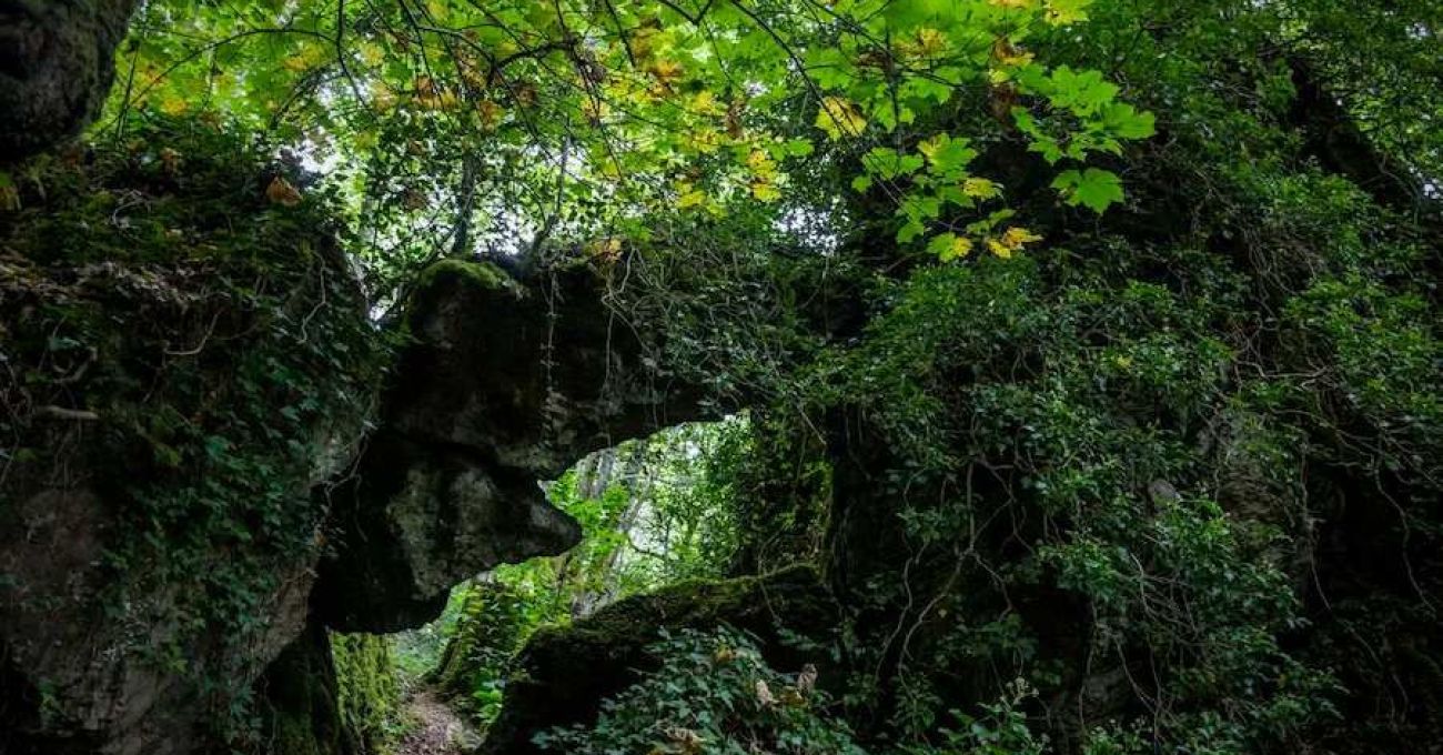 Os grobos por Cormes Os grobos por Cormes