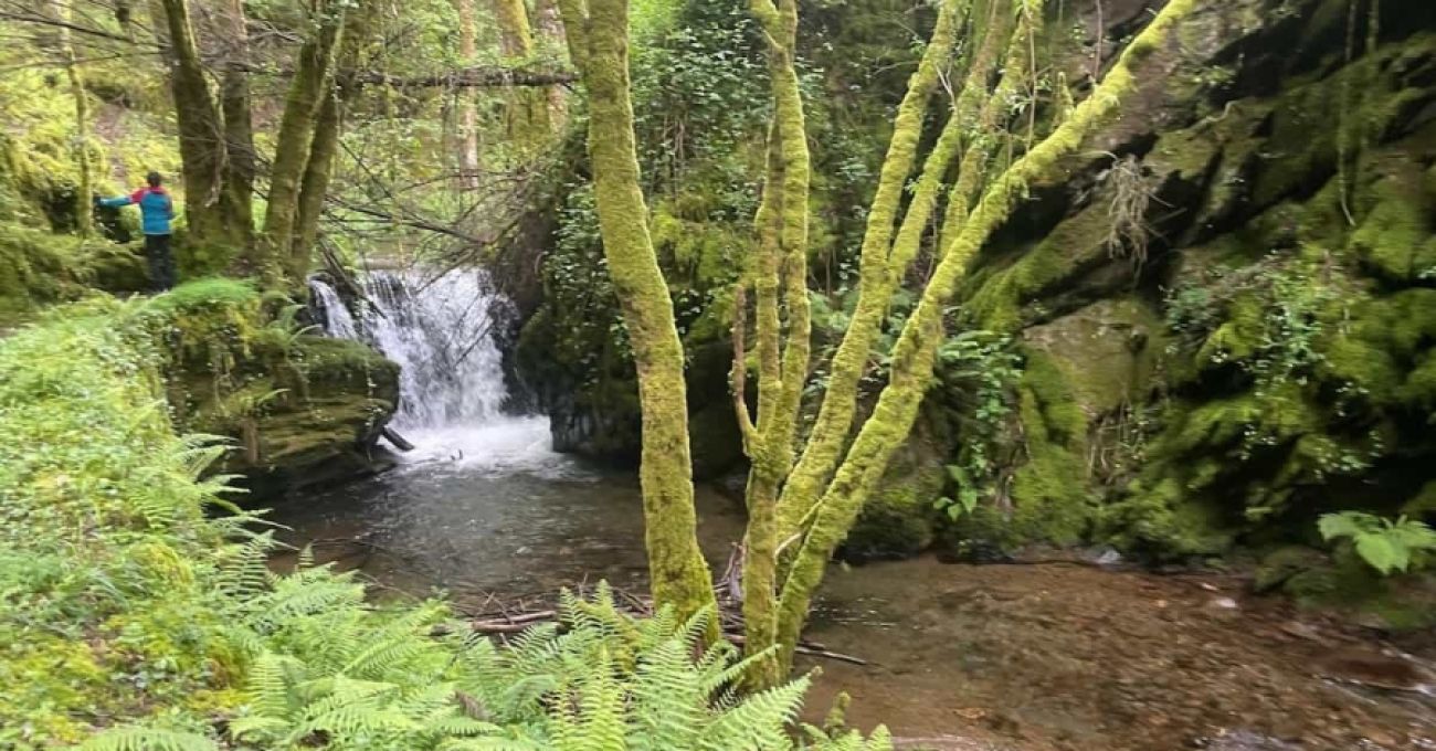 Quintá de Cancelada Quintá de Cancelada
