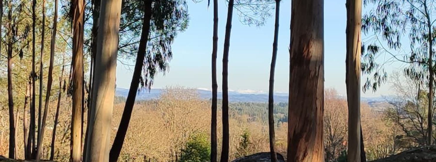 Nuevamente subimos a Penas de Rodas: