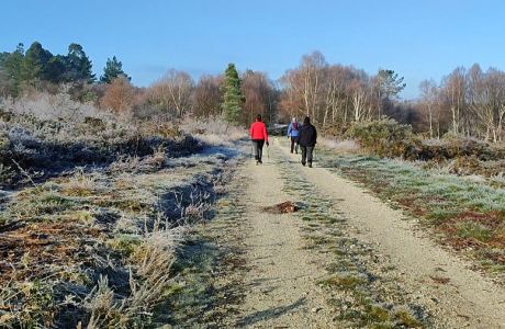 Invierno en el Camino Real Invierno en el Camino Real