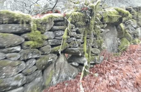 Continuidad y buen hacer Continuidad y buen hacer