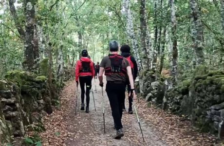 Belleza alterada Belleza alterada