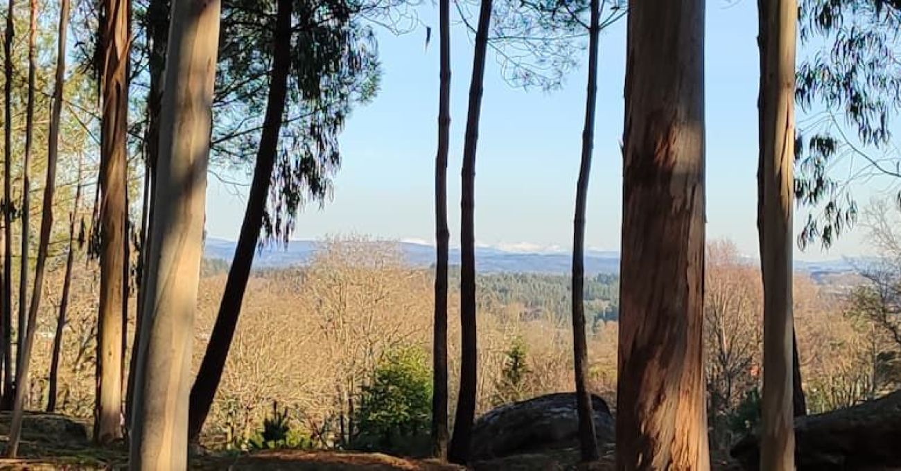 Nuevamente subimos a Penas de Rodas: Nuevamente subimos a Penas de Rodas: