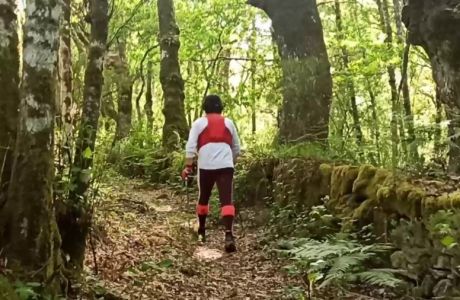 Irregularidad manifiesta Irregularidad manifiesta