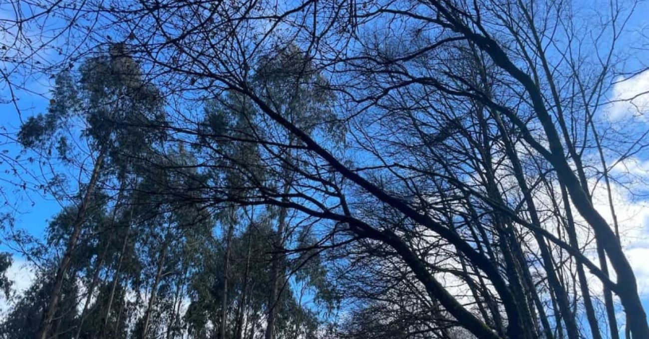 Reserva Biosfera, río Azumara Reserva Biosfera, río Azumara