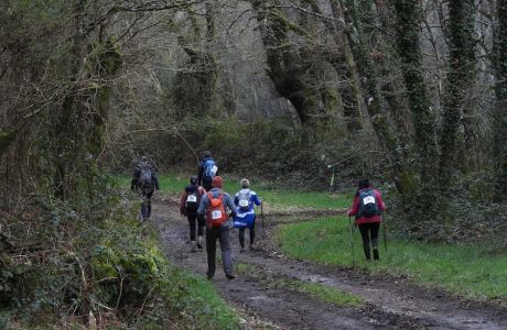 Friol camiña por unha causa xusta