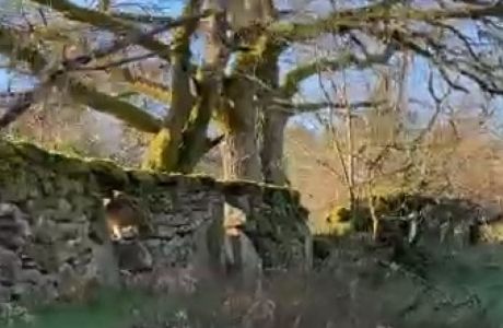 Senda de verano Senda de verano