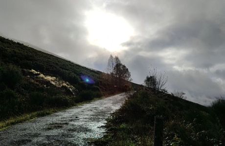 Ancares, el sitio de mi recreo. Ancares, el sitio de mi recreo.