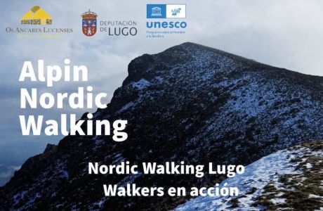 VI Clinic de Técnica Específica ALFA 247 · Desniveles + y −