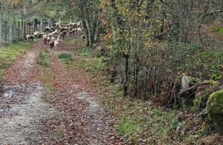 Junta seca y pilotes Junta seca y pilotes