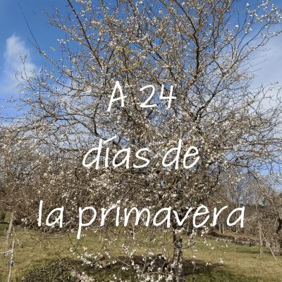 Nordic Walking Lugo . Nuestros Caminos 19