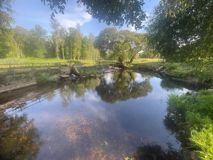 Rio Narla