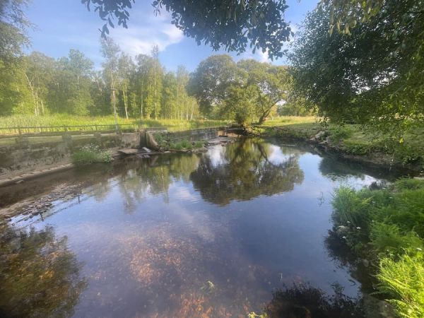 Rio Narla