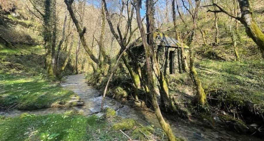 Molino Río Donsal