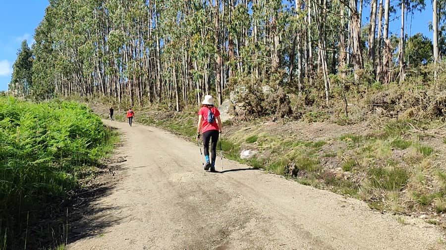 Camino del Alta de Paraños