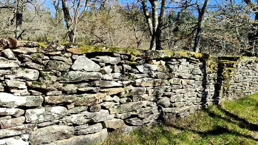 Muro Junta Seca Camino de Friol