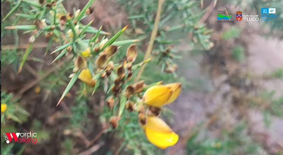 Saída otoñal recreativa por terras da Reserva da Biosfera Terras do Miño